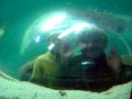 Monterey Aquarium - boys in a bubble